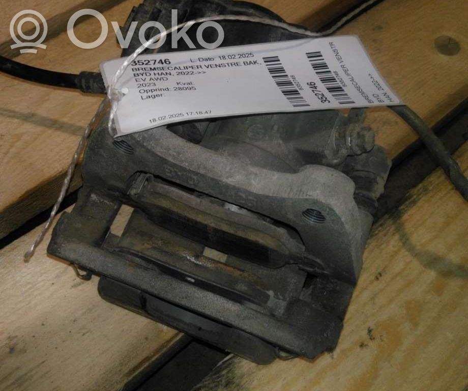 Bremssattel hinten