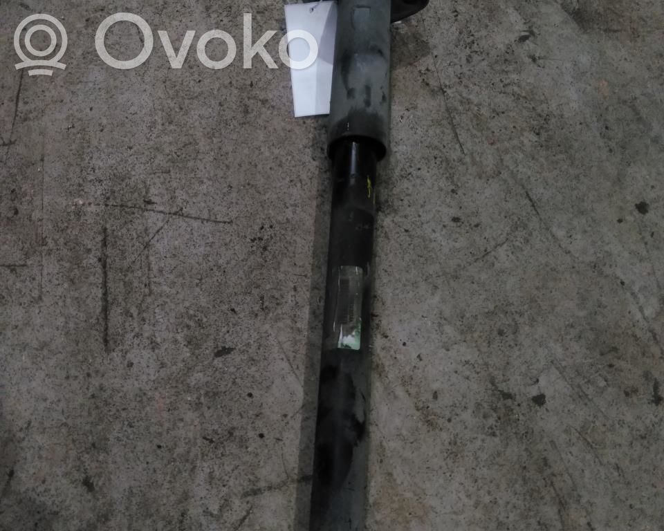 Stoßdämpfer hinten