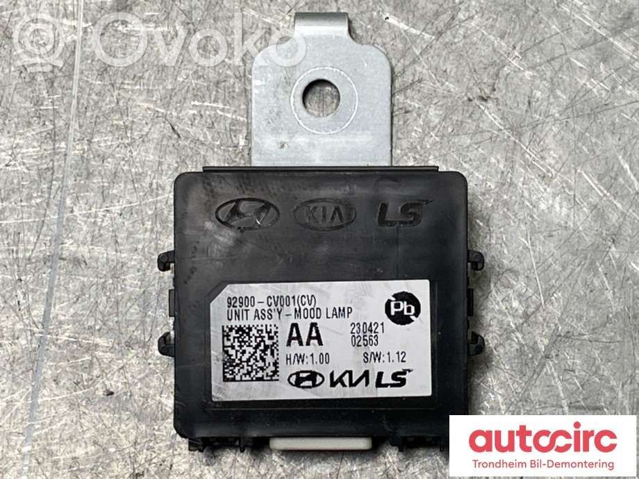 KIA EV6 Alte unități/module de control 