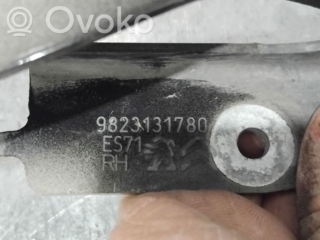Peugeot Expert Engine bonnet/hood hinges 