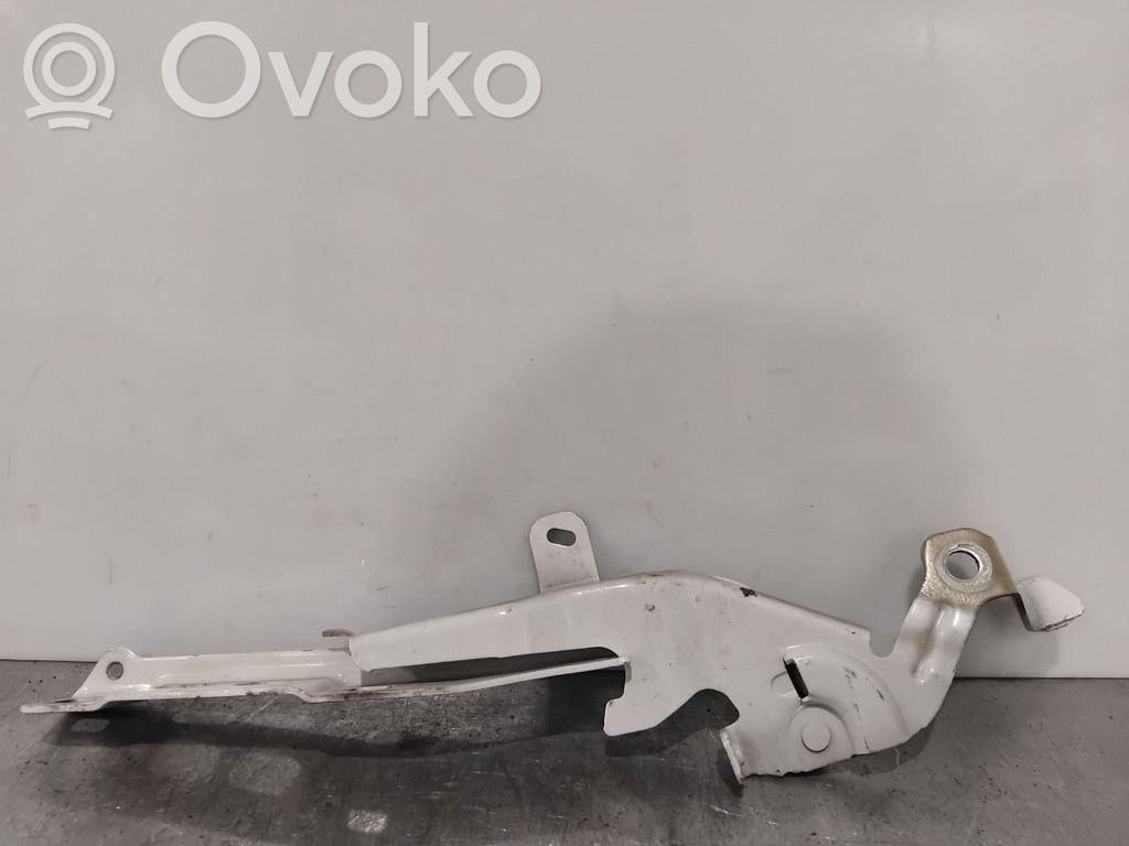 Peugeot 2008 II Cerniere del vano motore/cofano