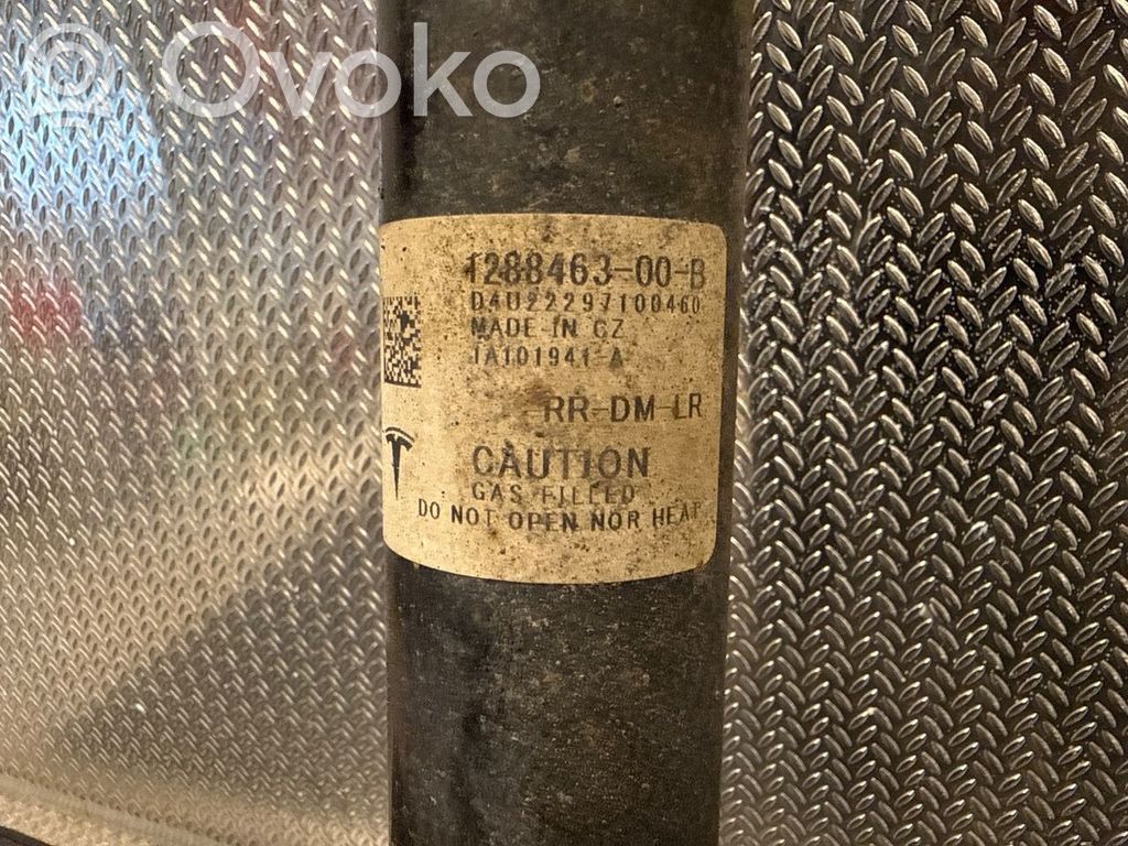 Tesla Model Y Amortizor spate
