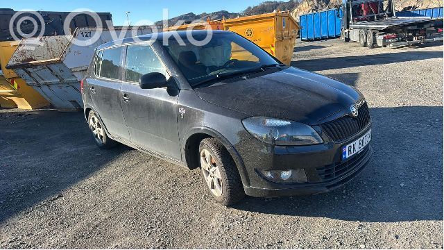 Skoda Fabia Mk2 (5J) Motore 