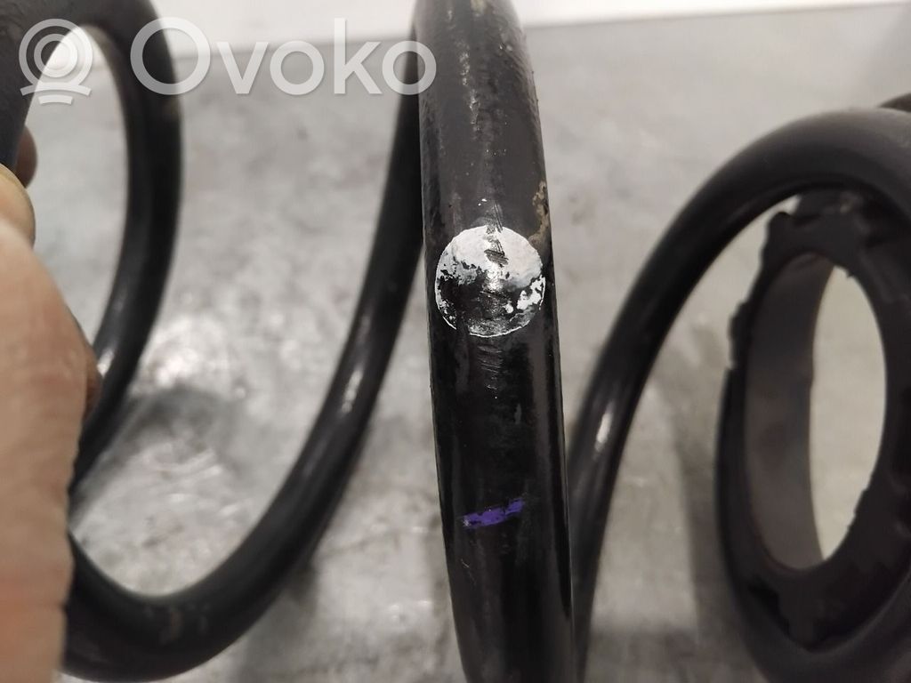 Tesla Model 3 Molla elicoidale posteriore con cuscinetti in gomma