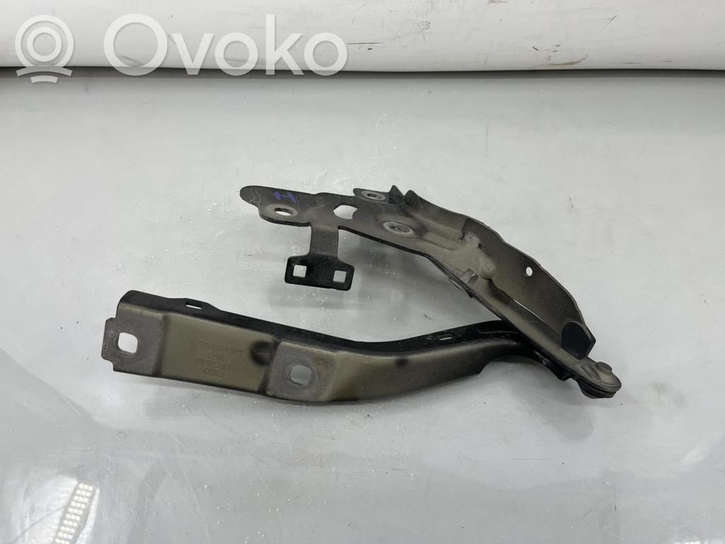 Audi e-tron Engine bonnet/hood hinges 