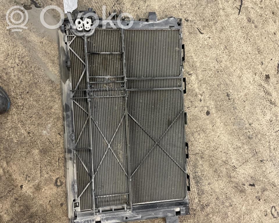 Mercedes-Benz Vito Viano W447 Radiator lichid răcire