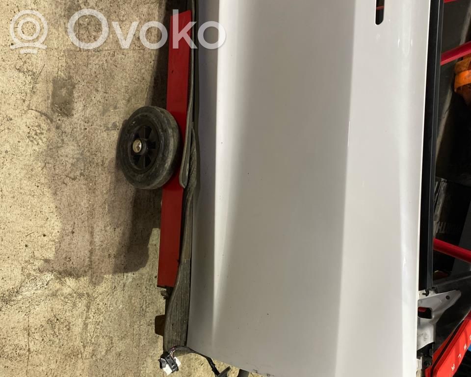 Tesla Model 3 Front door 