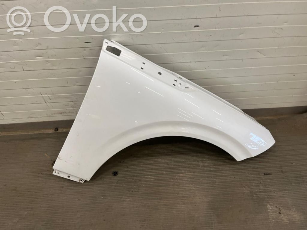 Błotnik przedni   4150101EA1ZZ02,4150101EA1ZZ02