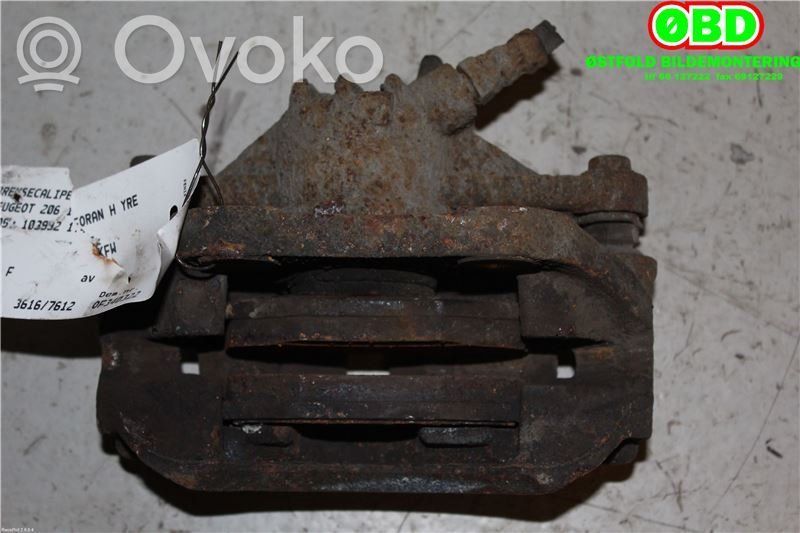Peugeot 206 Pinza del freno anteriore 