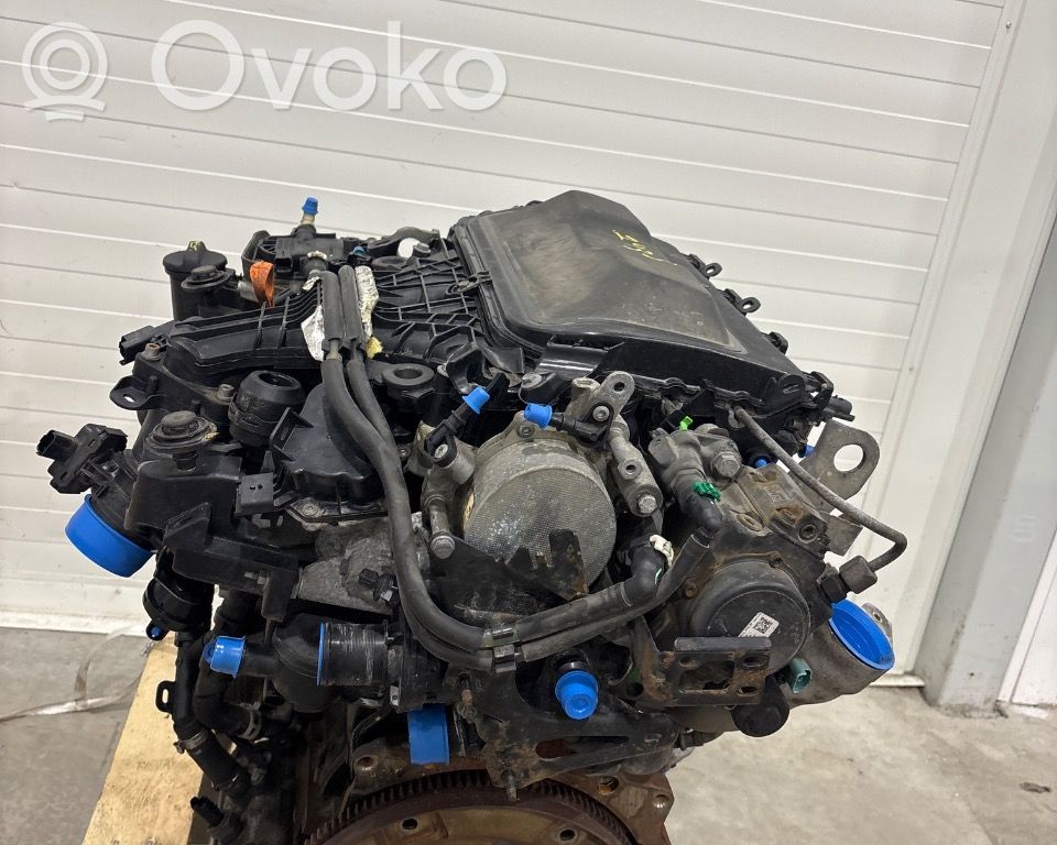 Peugeot Expert Двигатель 