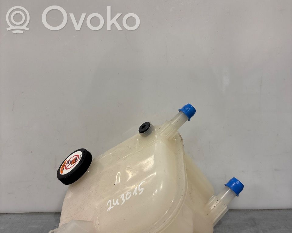 Toyota Corolla E210 E21 Vas expansiune combustibil 