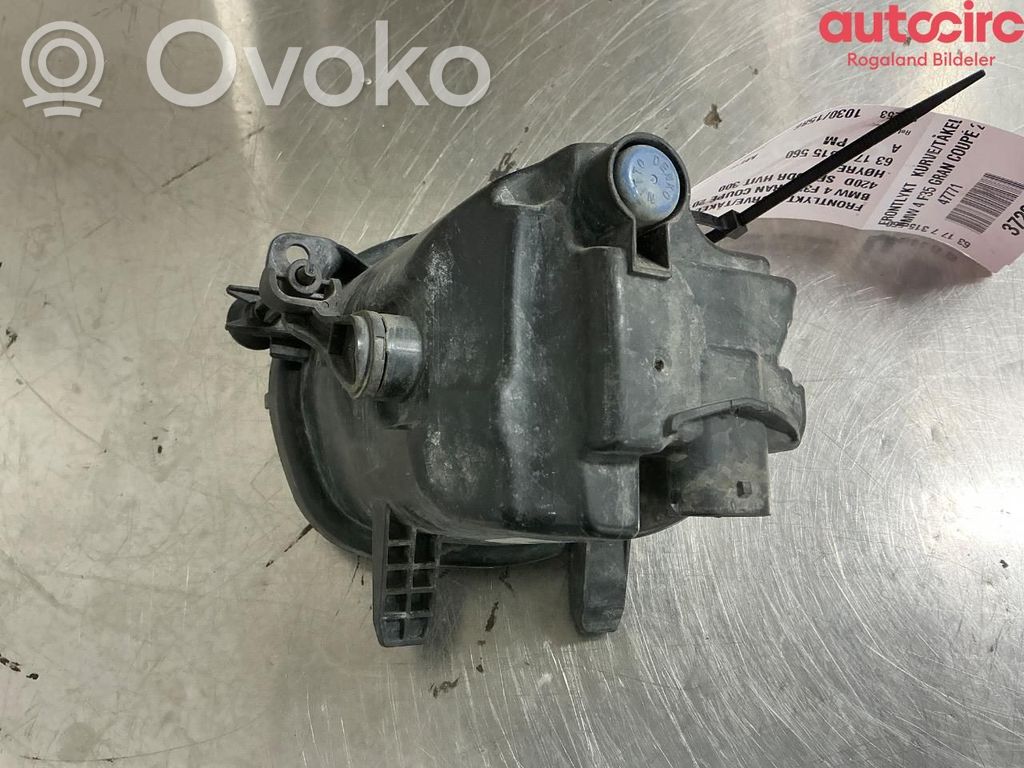 BMW 4 F32 F33 Fendinebbia anteriore 