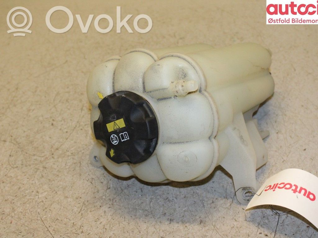 BMW X5 F15 Vas expansiune combustibil 