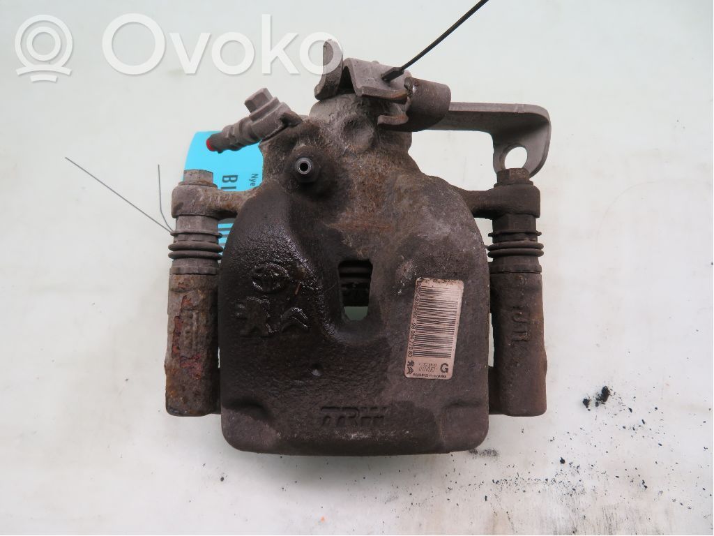 Takajarrusatula   9806477880,9806477880