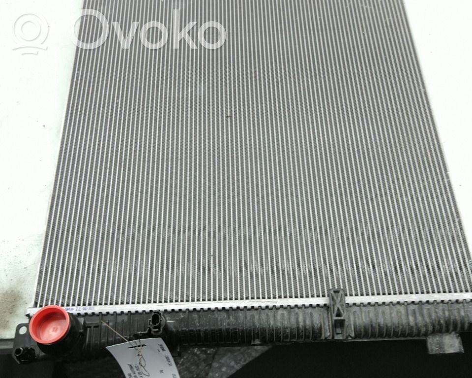 BMW iX Radiator lichid răcire 