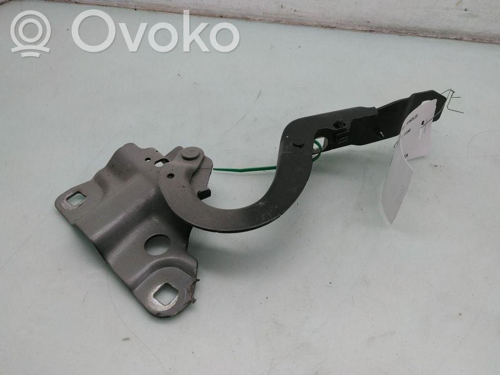 Renault Zoe Balamale capotă 