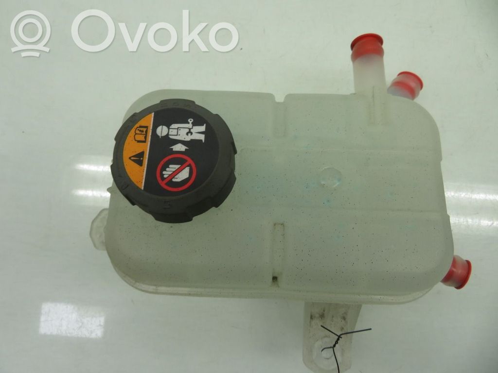 Hyundai Tucson IV NX4 Vase d'expansion de carburant