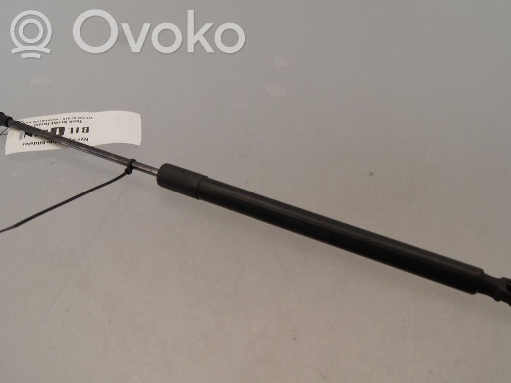 Volkswagen e-Golf Amortizor hayon 