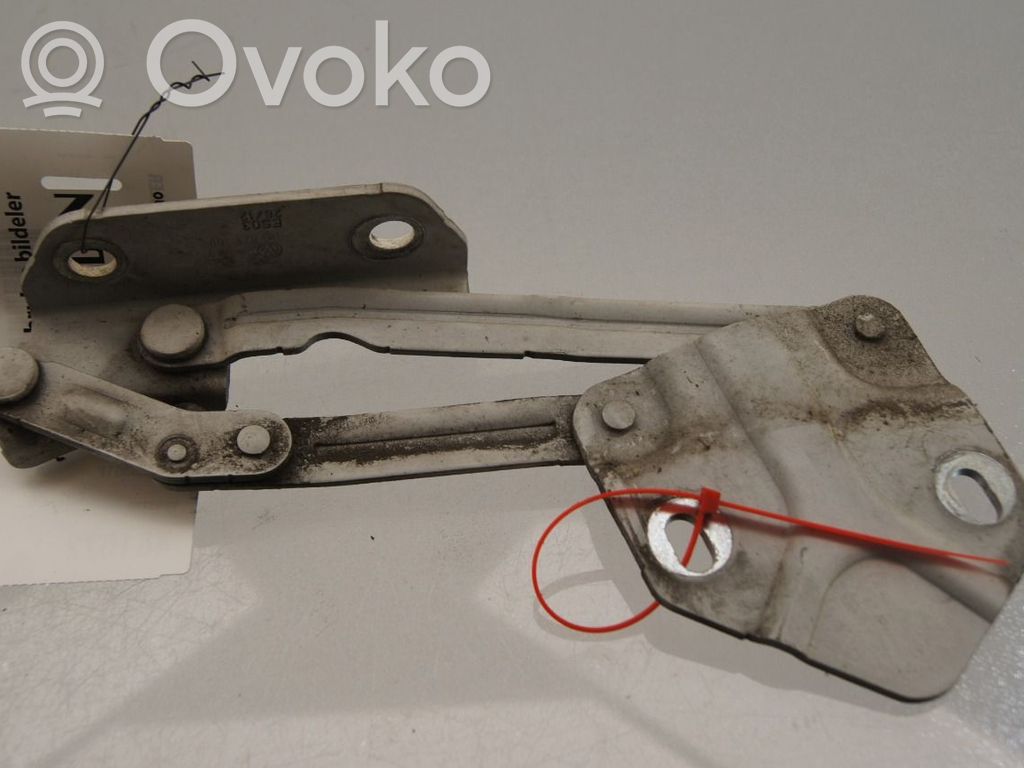Volkswagen Caddy Cerniere del vano motore/cofano 