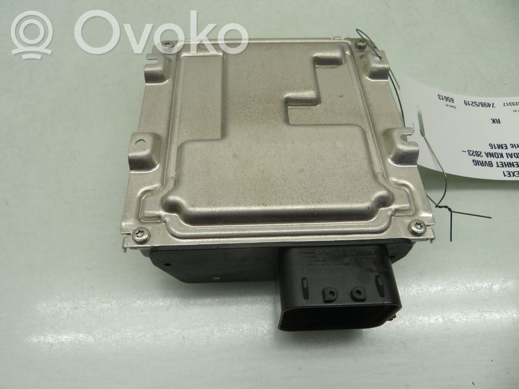 Hyundai Kona II Other control units/modules 