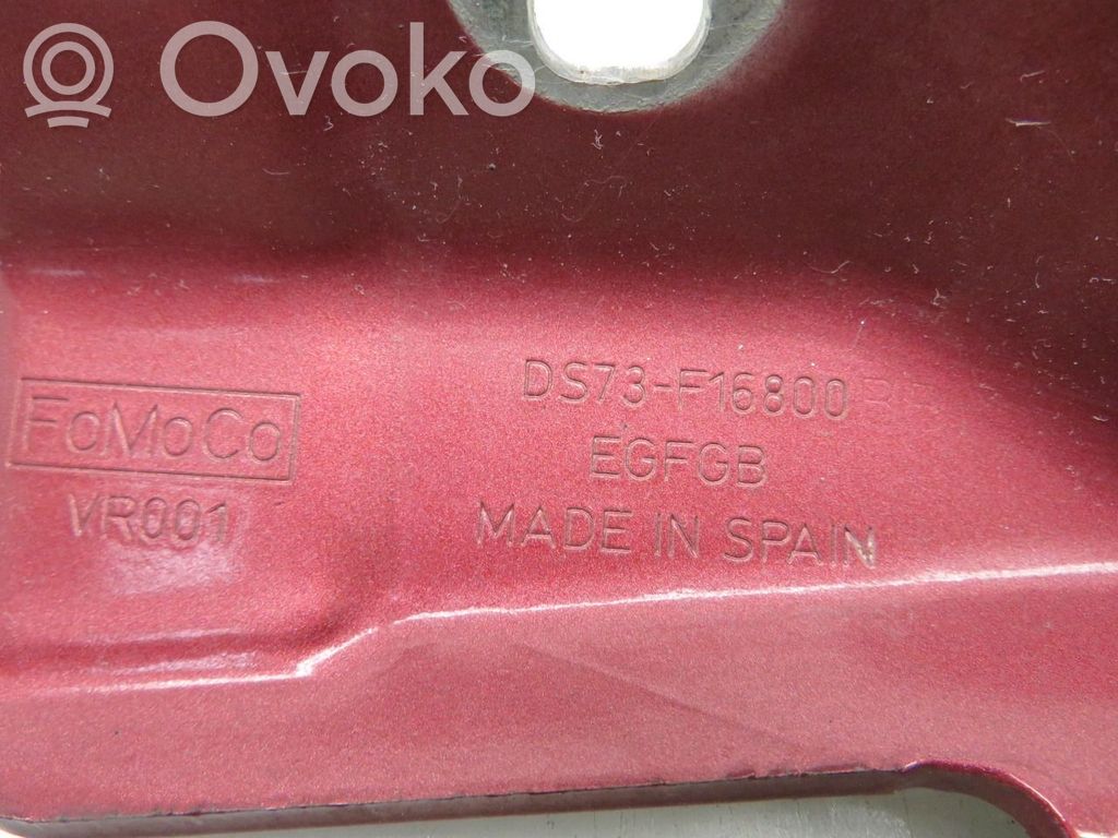 Ford Mondeo MK V Cerniere del vano motore/cofano