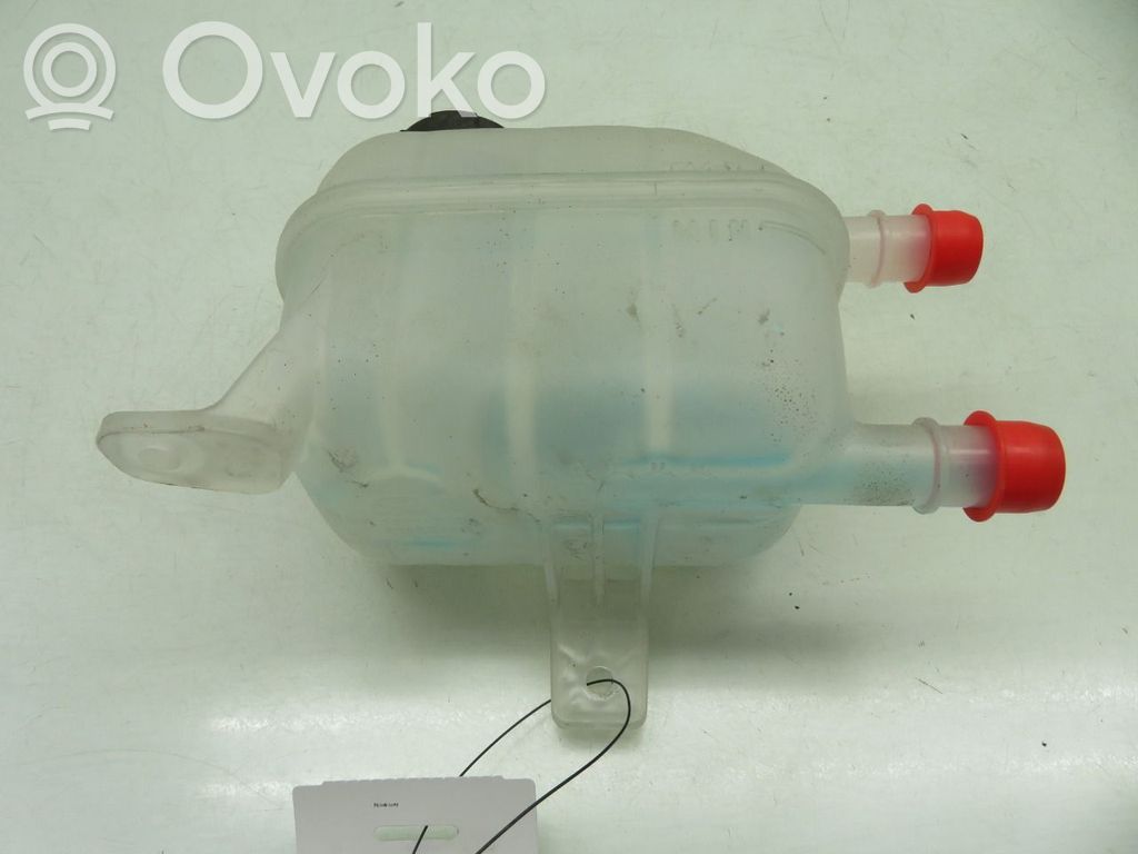 Hyundai Ioniq 5 Vaso di espansione carburante