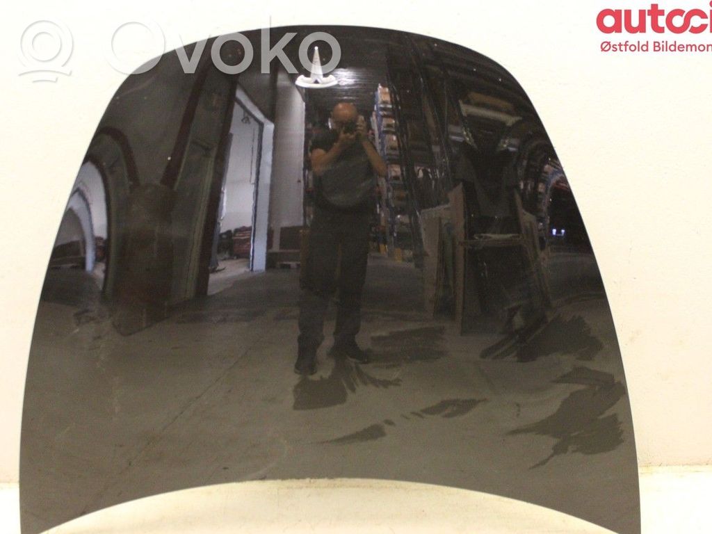 Tesla Model 3 Vano motore/cofano 