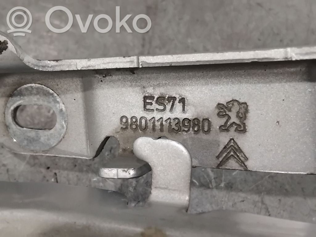 Citroen C4 Cactus Cerniere del vano motore/cofano