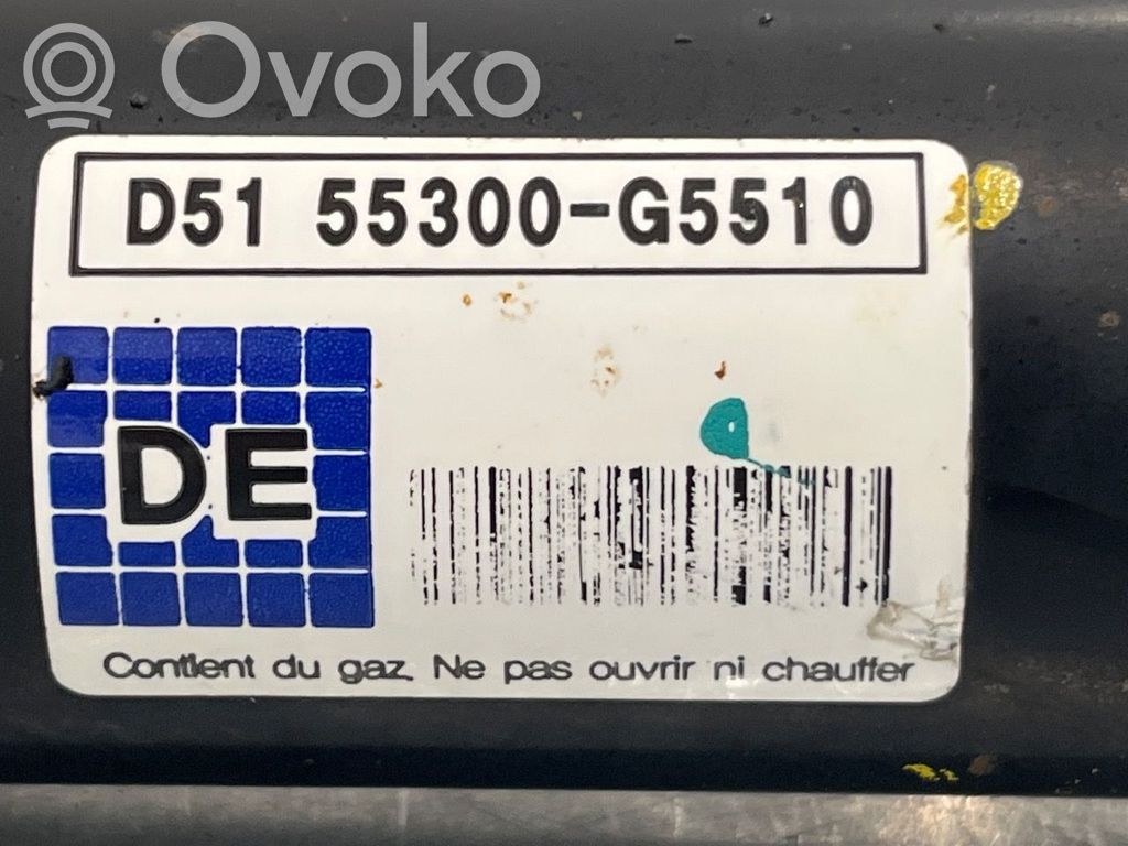 KIA Niro Amortizor spate