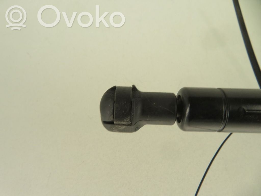 Audi A4 S4 B8 8K Ammortizzatore portellone posteriore/bagagliaio