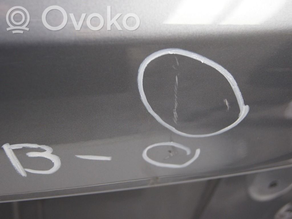 BMW 7 F01 F02 F03 F04 Puerta del maletero/compartimento de carga 