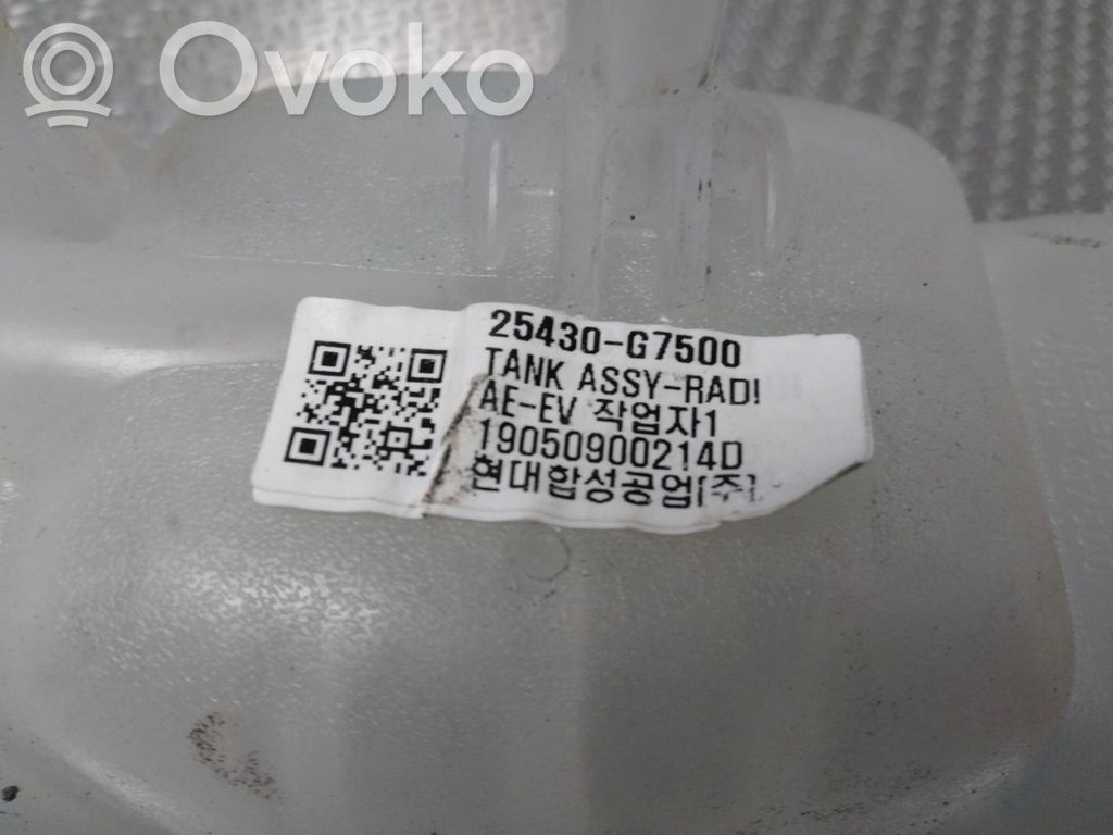 Hyundai Ioniq Vas expansiune combustibil 