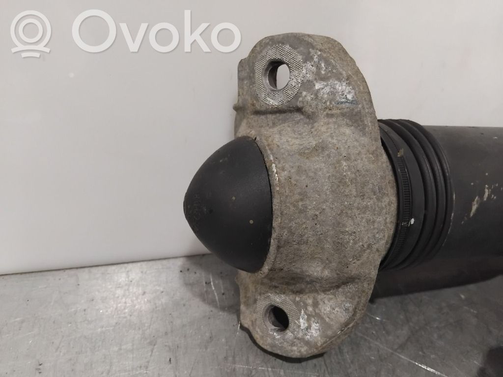Volkswagen ID.4 Stoßdämpfer hinten