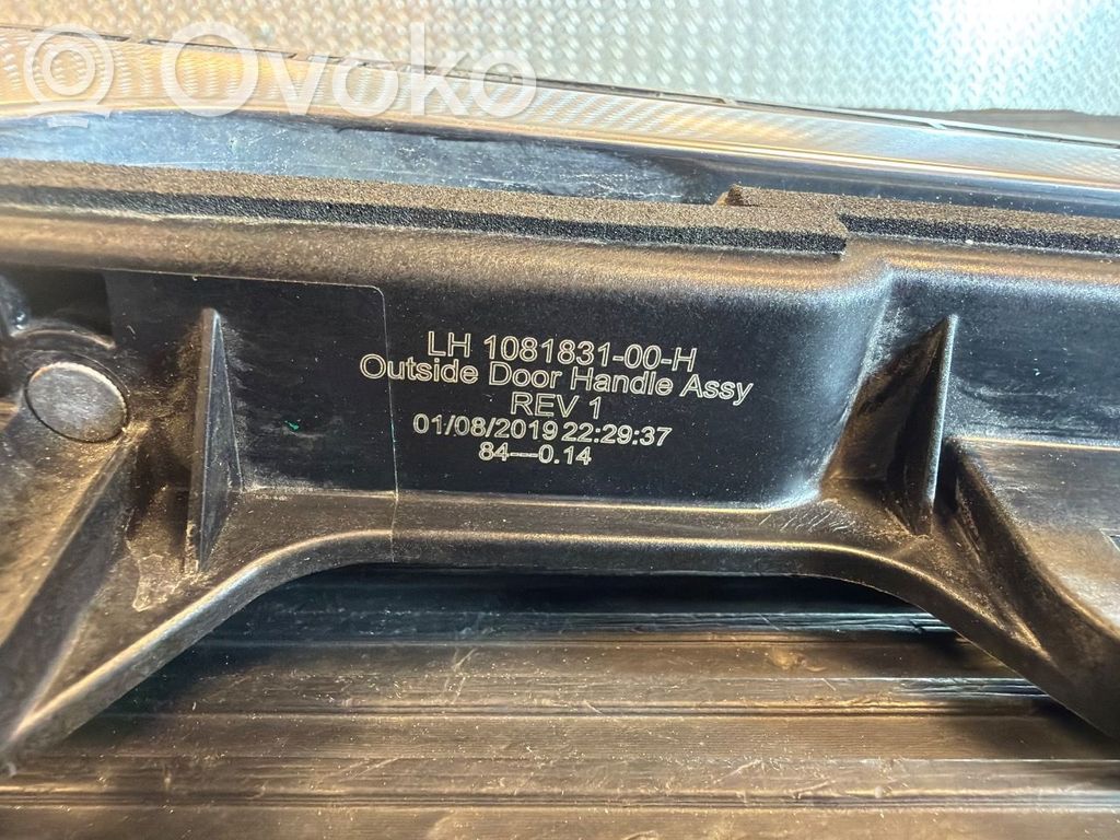 Tesla Model 3 Poignée extérieure de porte arrière 