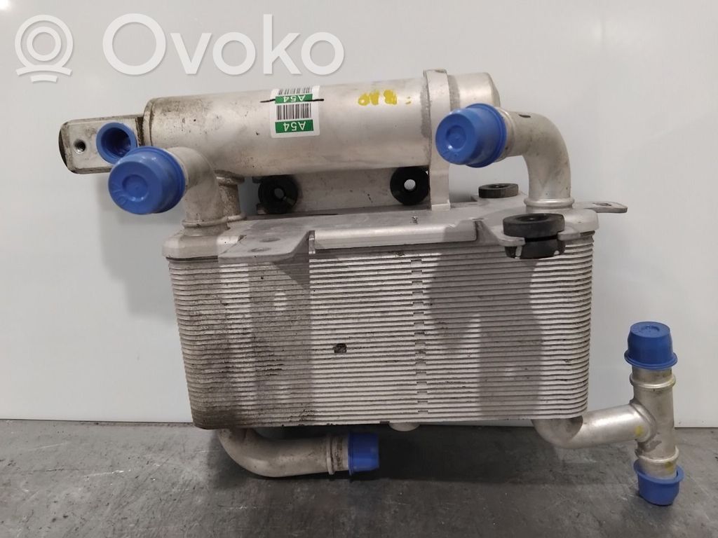 KIA EV6 Dzesēšanas šķidruma radiators 