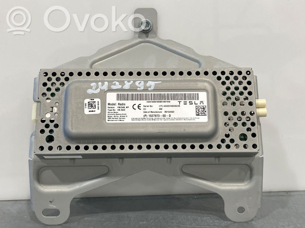 Tesla Model Y Amplificatore antenna