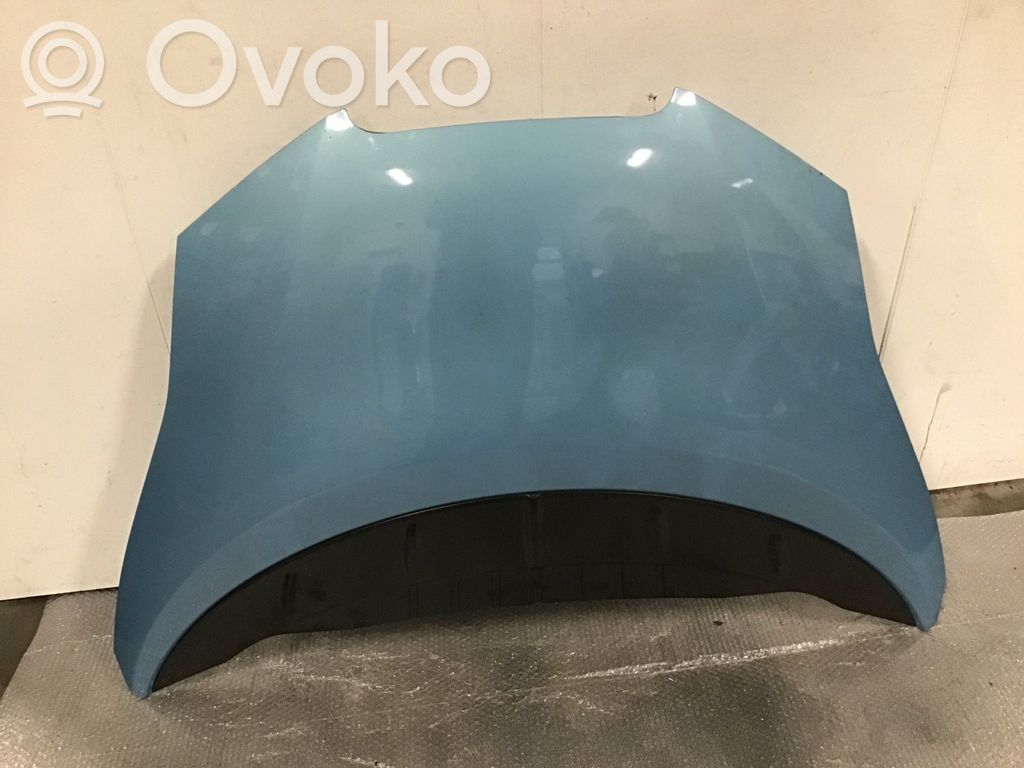 Nissan Leaf I (ZE0) Vano motore/cofano 