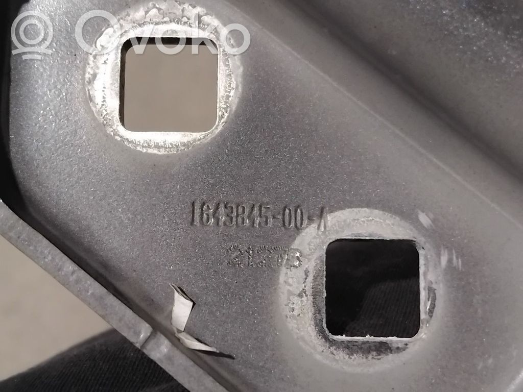 Tesla Model 3 Charnière, capot moteur