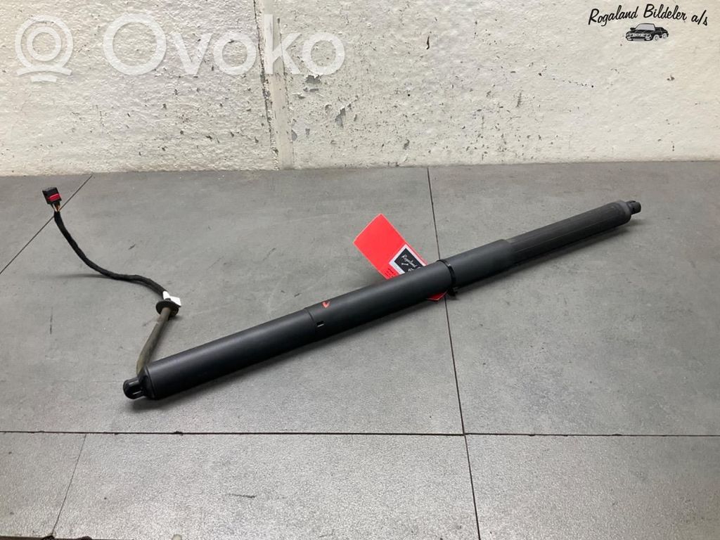 Porsche Cayenne (9Y0 9Y3) Ammortizzatore portellone posteriore/bagagliaio