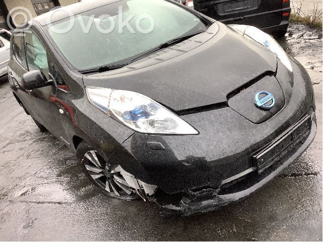 Nissan Leaf I (ZE0) Vano motore/cofano 