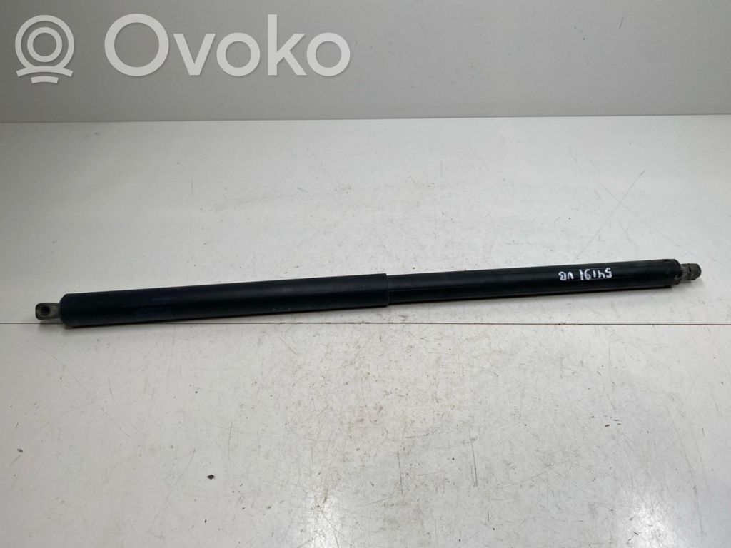Tesla Model S Tailgate/trunk strut/damper 