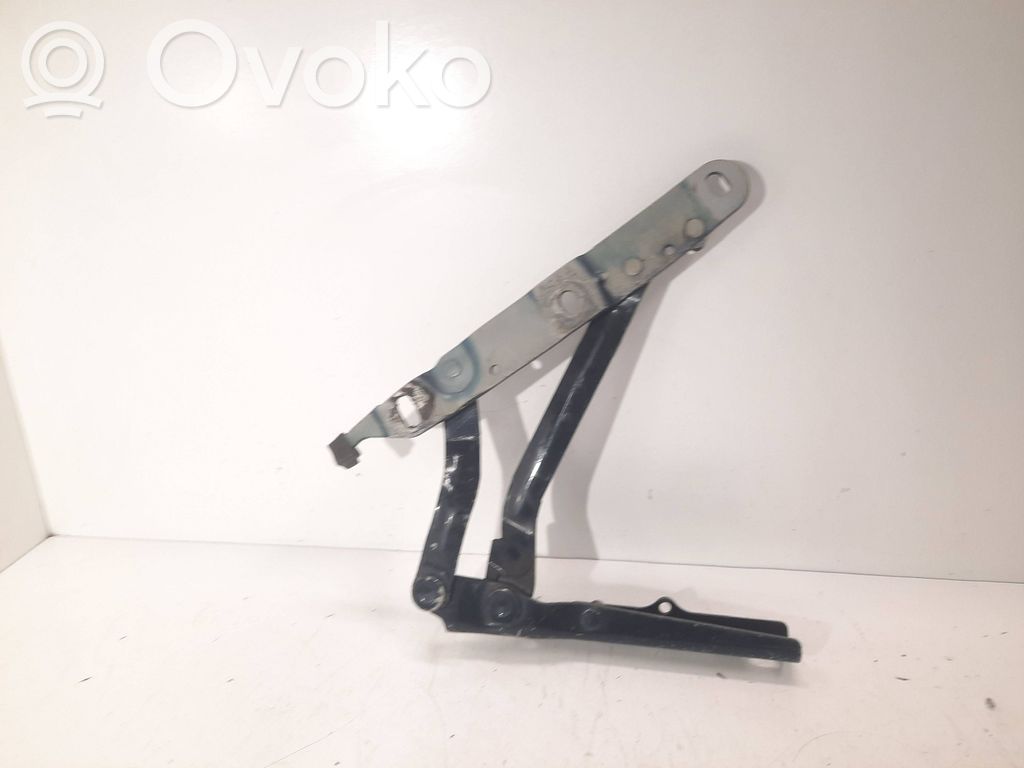Tailgate/trunk/boot hinge