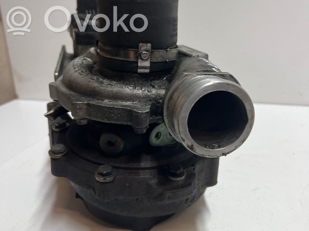 Turbo   31290507,81520581