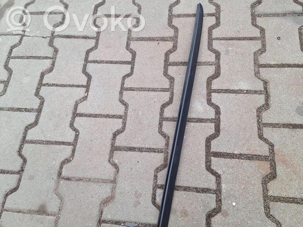 Citroen DS4 Windshield trim 