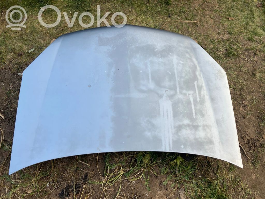 Engine bonnet/hood