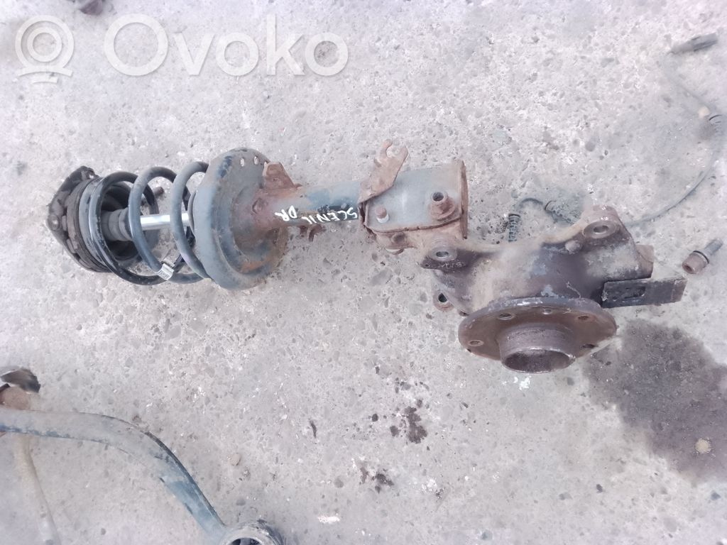 Front shock absorber/damper   17813