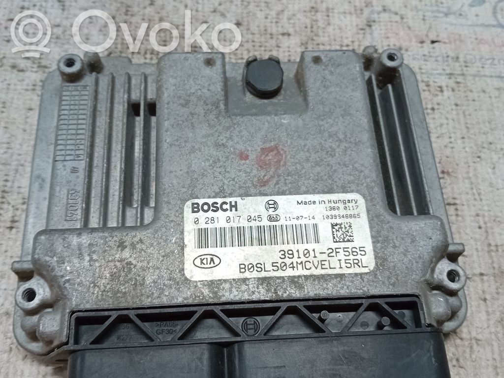 Engine control unit/module   391012F565,25017,391012F565