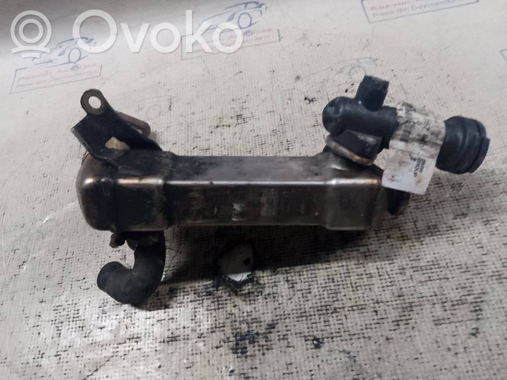 BMW X5 E53 EGR aušintuvas 