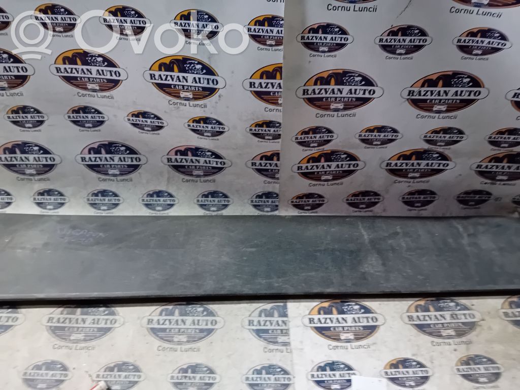Dacia Duster Rear door trim (molding) 