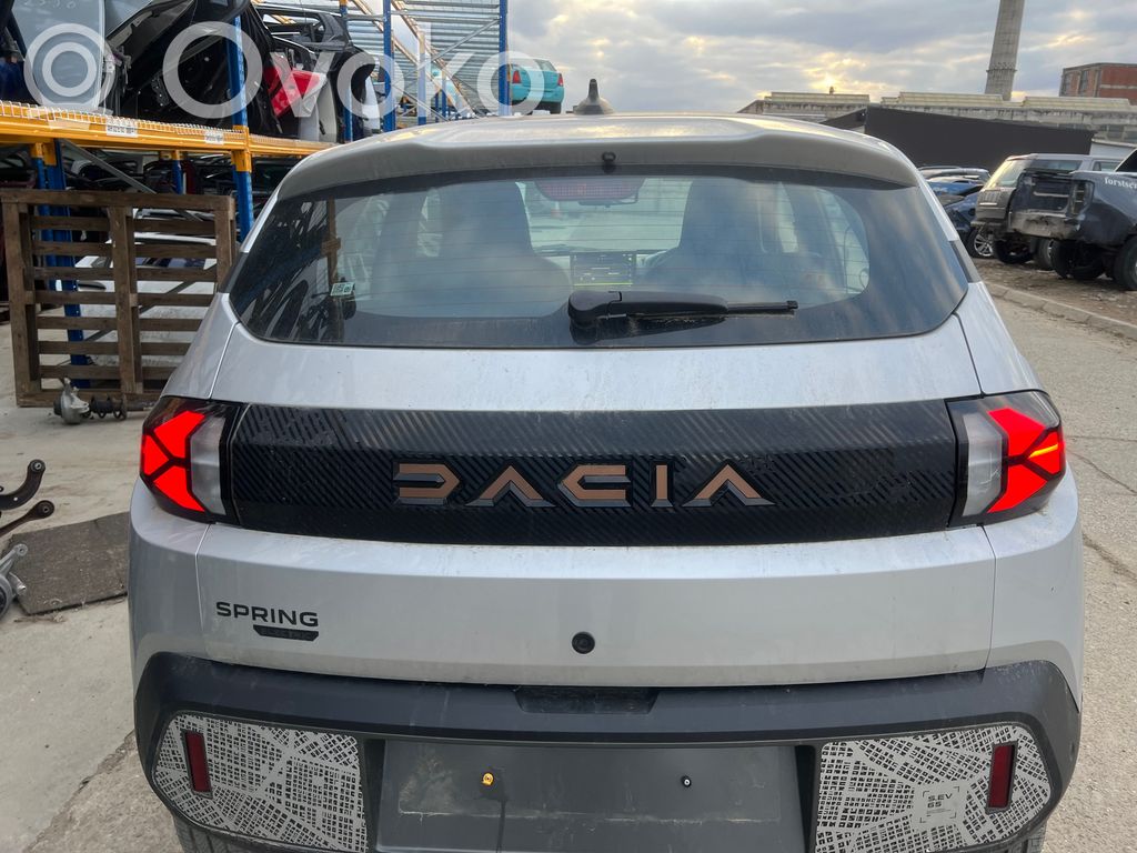 Dacia Spring Tailgate/trunk/boot lid 